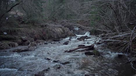 Natural-Stream-In-Winter-Forest-In-Indre-Fosen,-Norway---Wide-Shot