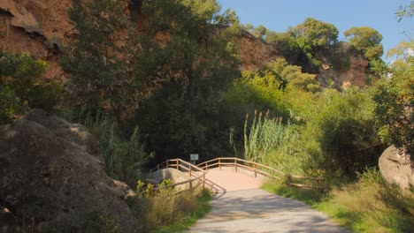 camino a través del puente en un hermoso parque rural en un día soleado - toma panorámica