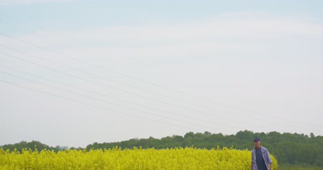 Landwirtschaftsbauer,-Der-Feld-Moderne-Landwirtschaft-Untersucht-43