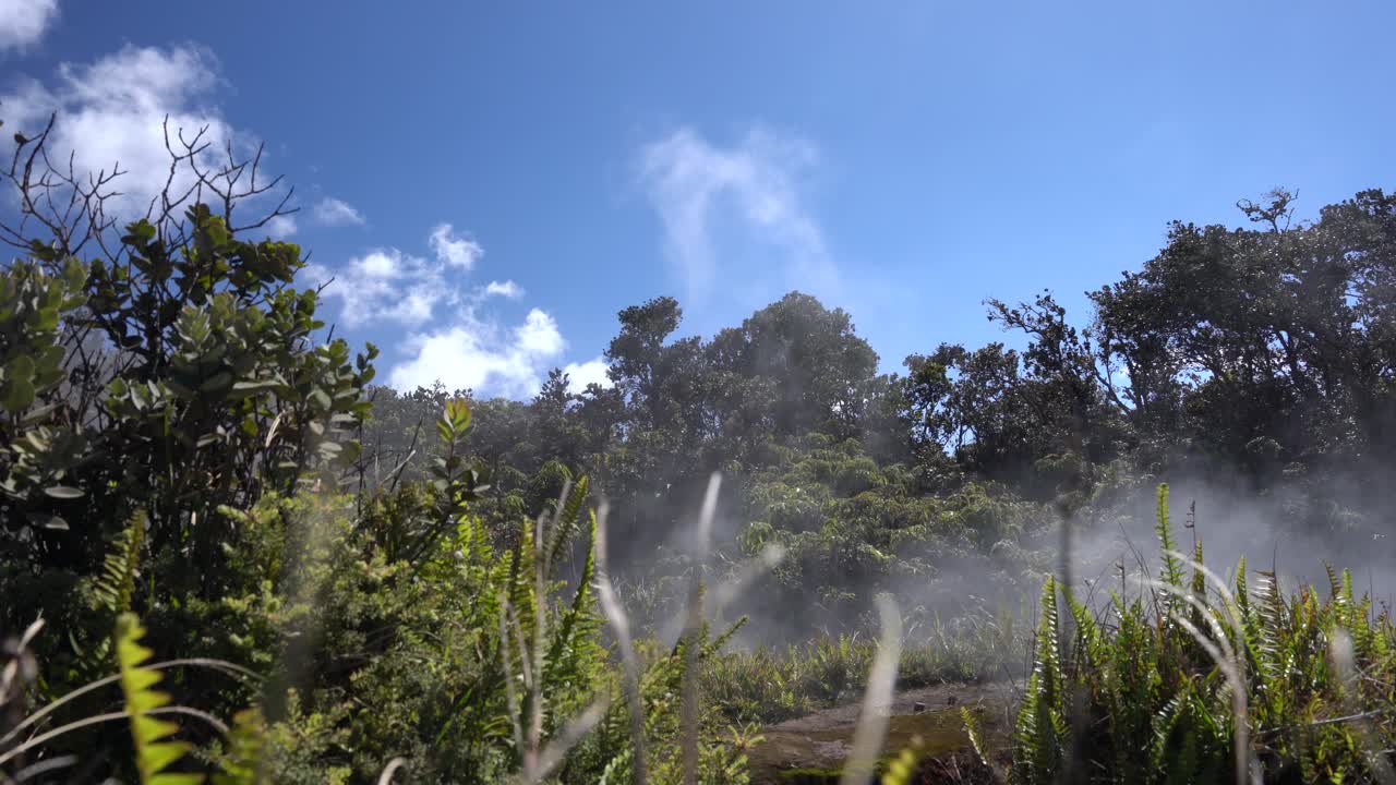 Volcanoes National Park, Hawaii (USA). Hot volcanic rocks from beneath the earth evaporating ground water to the surface as white steam. 4K close-up stock footage. Geothermal activity