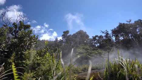volcanoes national park, hawaii (usa). hot volcanic rocks from beneath the earth evaporating ground water to the surface as white steam. 4k close-up stock footage. geothermal activity