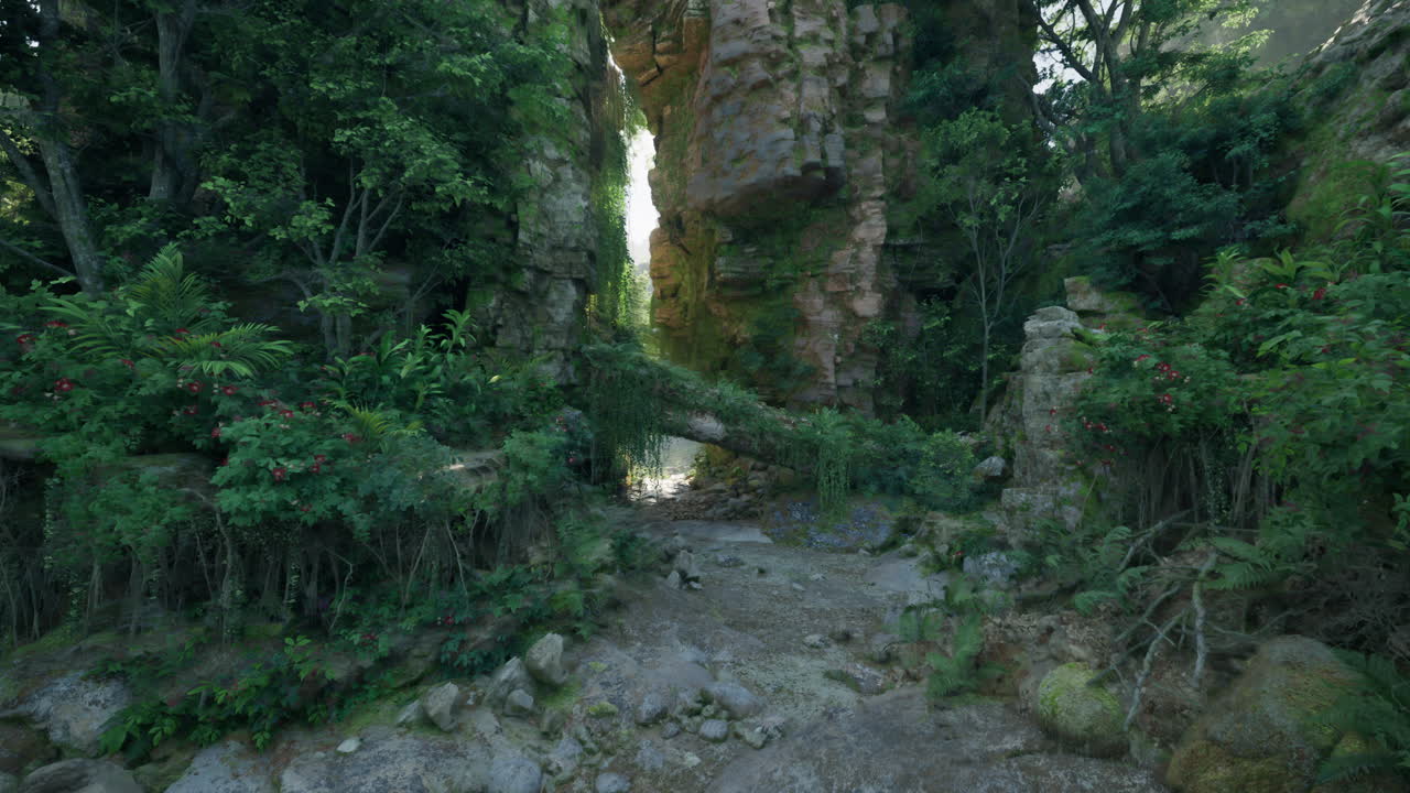 un camino a través de una selva verde exuberante