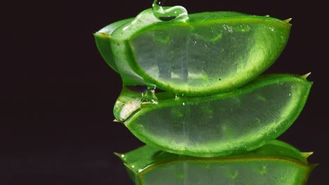 slices of fresh green aloe vera plant stacked pieces of leaves with transparent extract gel flows through the ingredients. natural medical plant for organic cosmetics, alternative medicine. vertical