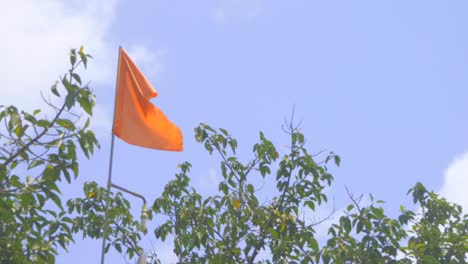 handheld hindu flag om orange maharashtra india marathi