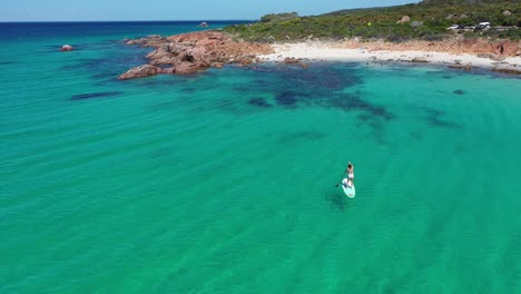 aerial view of female standing on a paddle board in turquoise sea water by white sand beach of point picquet, cape naturaliste, australia