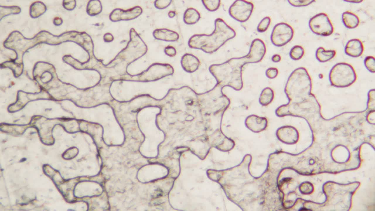 Vista microscopica di strutture cellulari dinamiche o modelli liquidi