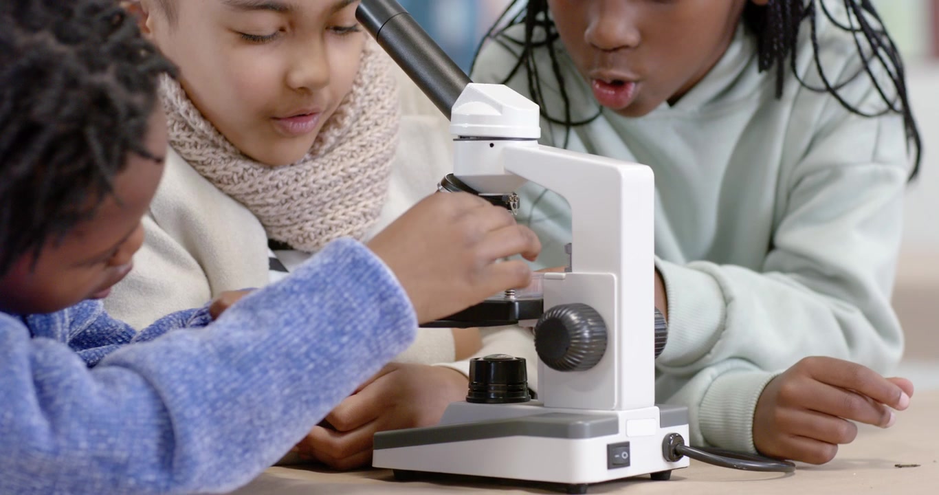 Diverse female children helping green-sweatshirt girl turning slide on microscope, examining sample