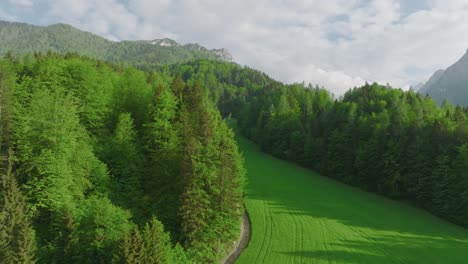 aerial arcing shot flying over a clearing in a forest in kranjska gora, slovenia