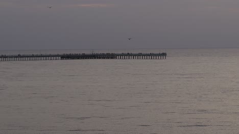 Drone-aerial-view-of-Palanga-bridge,-Lithuania