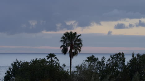 puesta de sol naranja y nubes rodantes detrás de una palmera y el océano en malibu, california