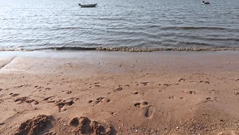 waves gently lap the sandy shore