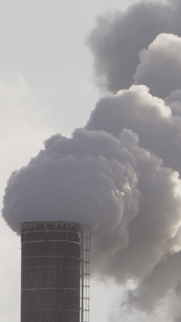Thick billowing smoke from an industrial chimney, vertical