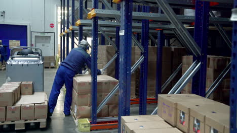 worker handling boxes in a cold storage warehouse