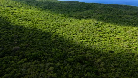 cloud shadow passes over dense tropical arid landscape with caribbean ocean
