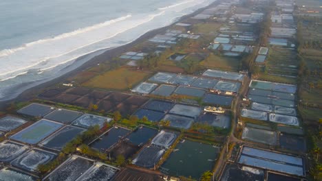 estanques tradicionales de producción de sal a lo largo de la playa de ketawang