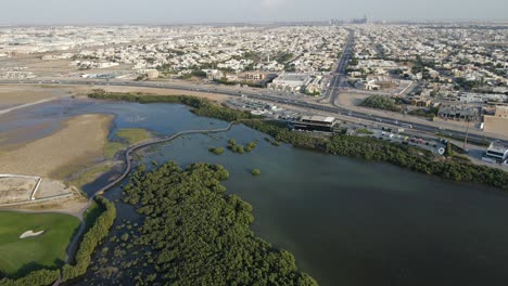 Vista-Superior-De-La-Ciudad-De-Ajman-Y-Kayak-De-Manglares-De-Ajman,-Los-Gruesos-Manglares-Naturales-De-Ajman-Albergan-Más-De-102-Especies-De-Aves-Nativas-Y-Migratorias-En-Los-Emiratos-árabes-Unidos,-Imágenes-De-4k