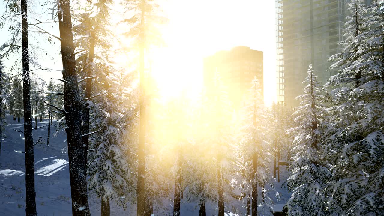 해가 뜨면 눈에  ⁇ 은 도시와 숲