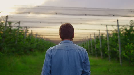 Unternehmer-Bauer-überprüft-Obstgarten.-Agronom-Mann,-Der-In-Der-Plantage-Spaziert.