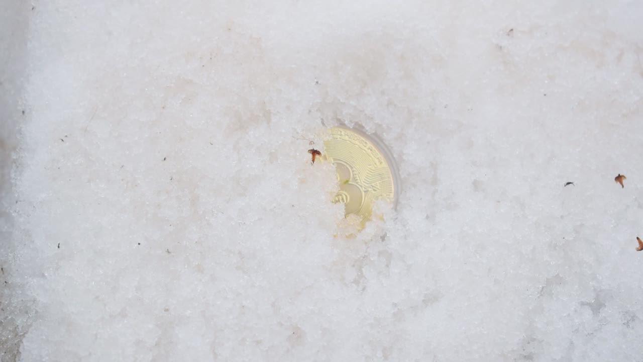 그것을 숨기기 위해 눈으로 황금색 비트코인을 덮고 있는 남성 손