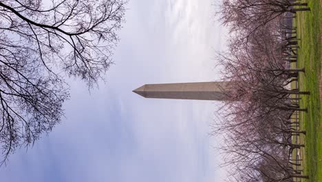 vertical shot of people walking in the park with washington monument obelisk in washington, d