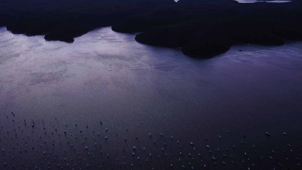 핏워터 선셋 - 아발론 세일링 클럽