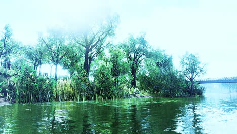 scenic-lake-in-the-summer-park