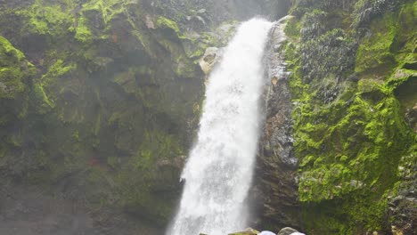 cascadas de río salvaje