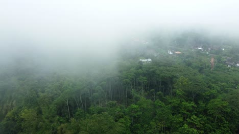 4K-Drohnenaufnahmen-Aus-Der-Luft:-Bali-Mystique