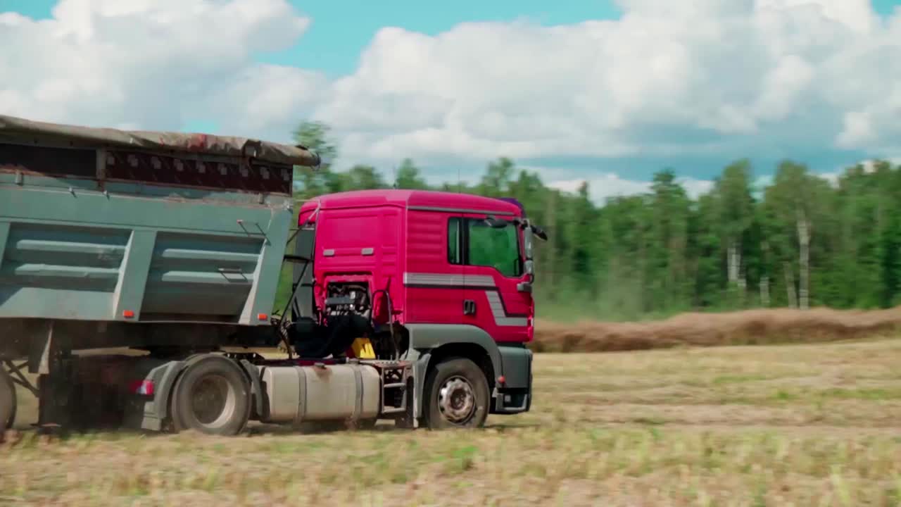 곡물은 트럭에 의해 제거됩니다 _farmland_work_outdoors_summer_truck_outdoors_farm