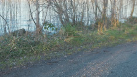 bicycle cycles past river shoreline at sunset