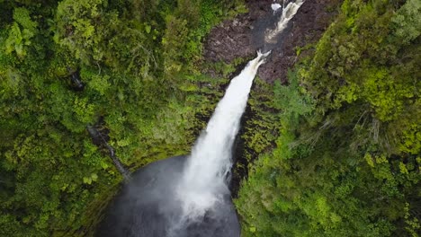 drone going above akaka falls in hawaii