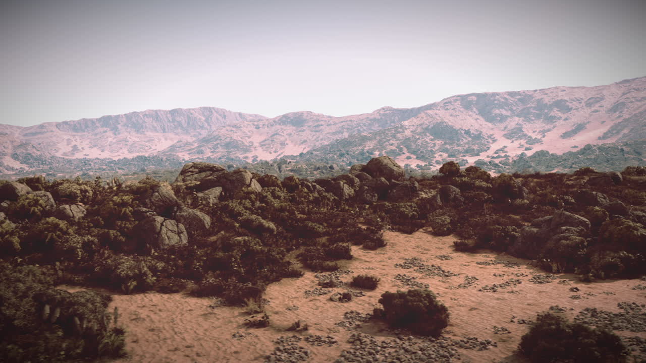 A scenic view of a mountain range in a desert landscape