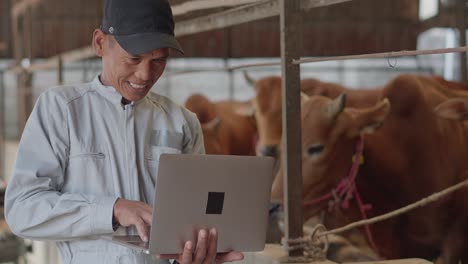 senior male farmer using laptop checking on his livestock and quality of milk in the cattle farm