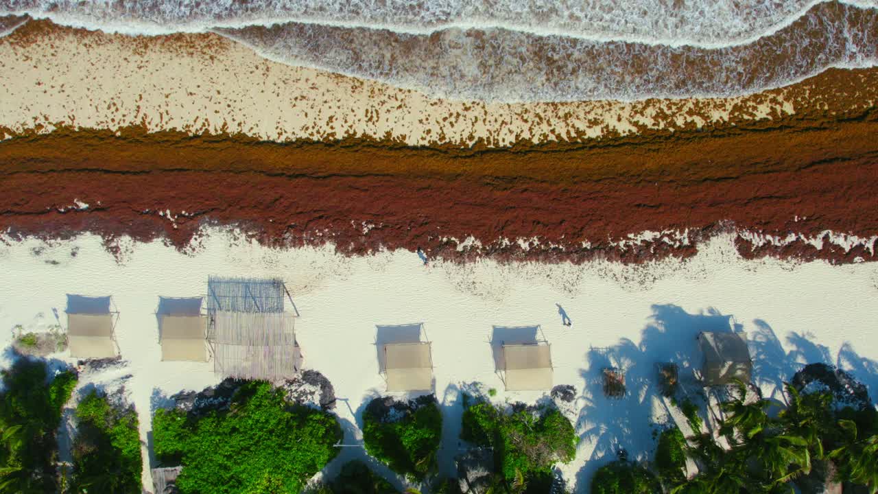 resort de lujo mexicano tropical frente a la playa infestado de algas naranjas