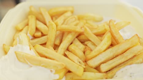 french fries with sour cream dip in plastic container