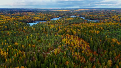 an endless expanse of wilderness forest reveals a small lake in a national park in finland