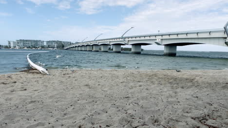 Paradise-Point-Beach-Bridge-with-swimming-area