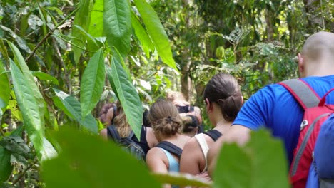 A-group-of-young-backpackers-is-trekking-and-hiking-deep-in-the-jungle-of-Umphang-located-in-North-Thailand-on-a-clear-blue-day-in-Asia