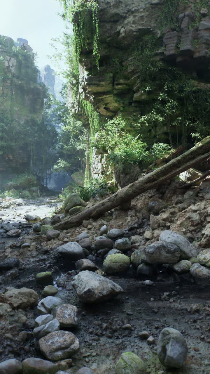 un camino a través de un bosque con un arroyo