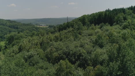 AERIAL:-Flyby-over-trees-revealing-a-rolling,-rural-landscape-on-a-summer-day