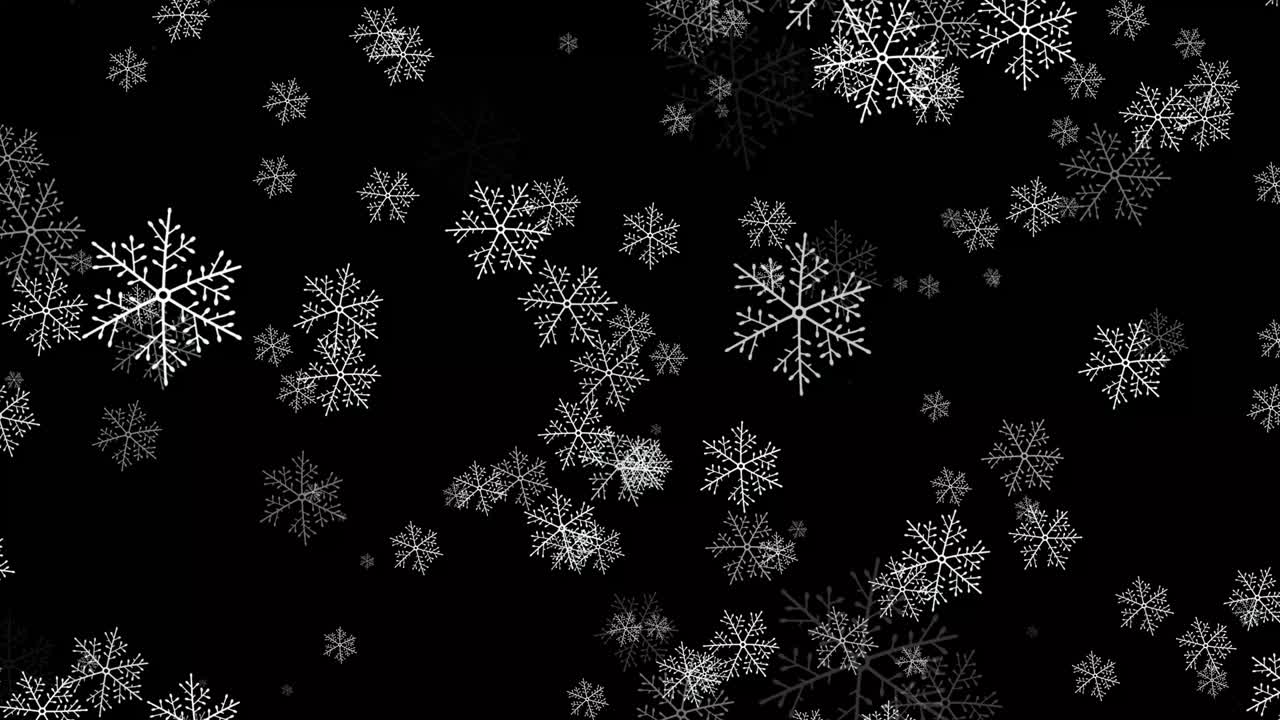 Små snøflak, ekte snø isolert for innsetting i et vinterprosjekt, snøflak på svart bakgrunn i 4k.