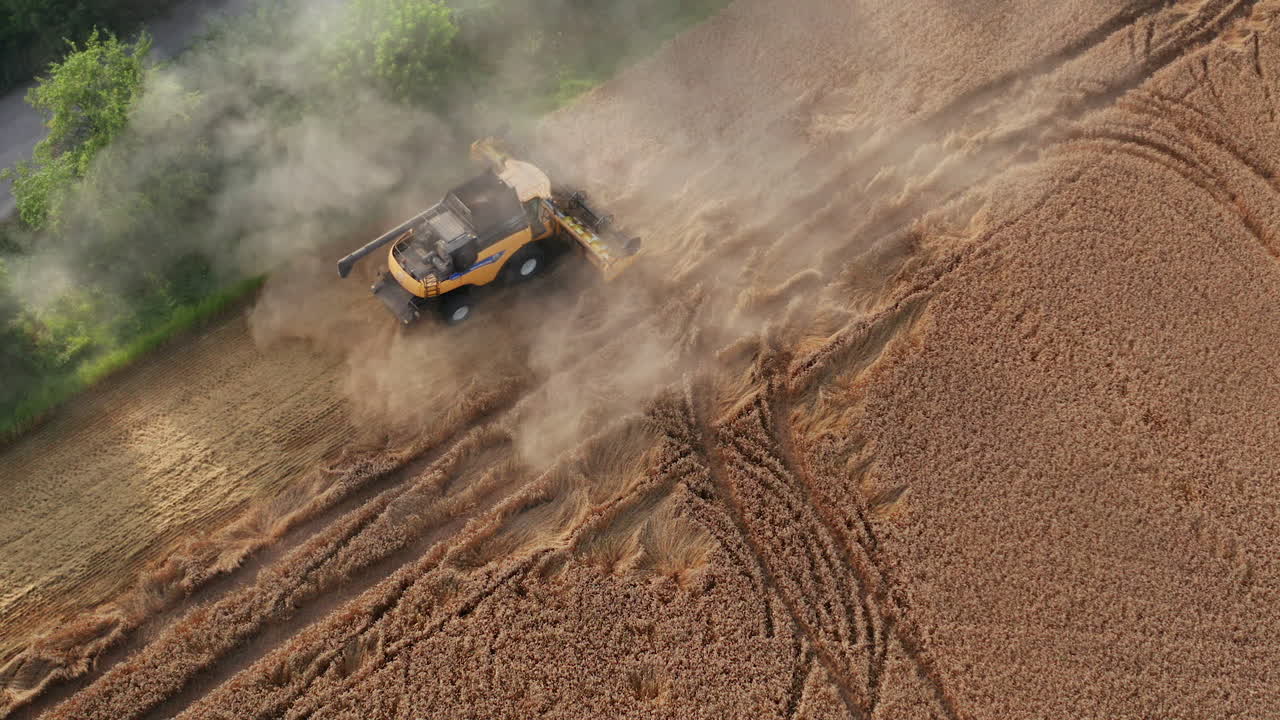 Yellow harvester has stuck a little so moves slowly backwards. Clouds of dust rising from machine. Green trees at backdrop.