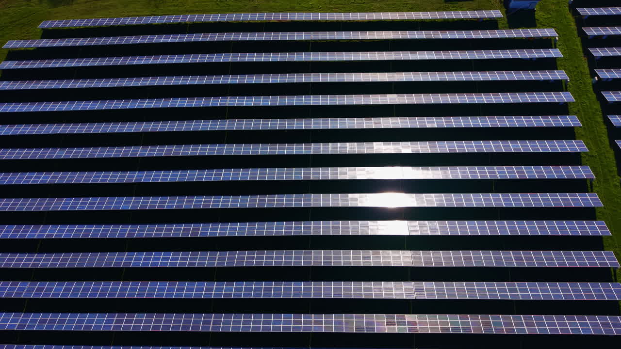 File di pannelli solari che catturano la luce solare su un vasto campo durante il giorno, con cieli sereni e senza nuvole.