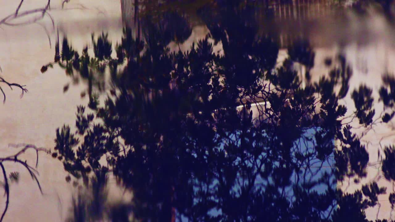 빗방울이 떨어지는 동안 웅덩이에 나뭇잎이 있는 정원 벽과 나뭇가지의 반사 - 가까이