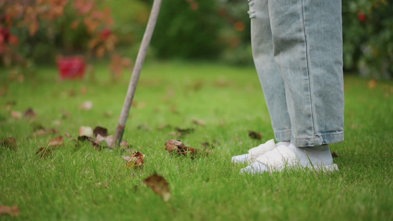 Jeans legs white sneakers raking leaves homeowner pulls steel rake through green lawn scattered brown and orange foliage garden background casual morning chore gentle rhythm tidy progress