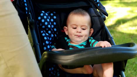 un niño pequeño sentado en su cochecito en el parque