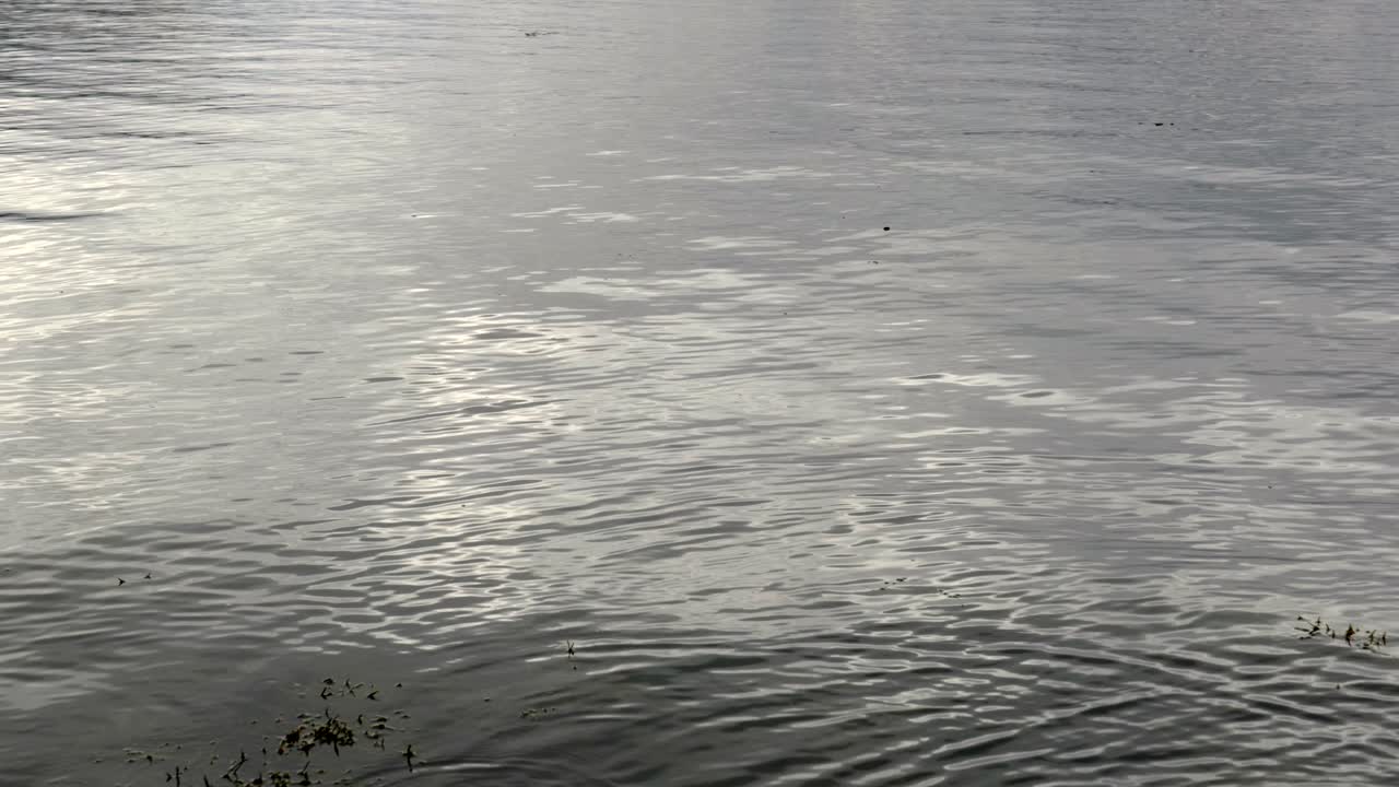 la luz se refleja en la superficie perezosa de un océano negro aceitoso y reflectante con olas suaves y ondas que bailan a través del océano