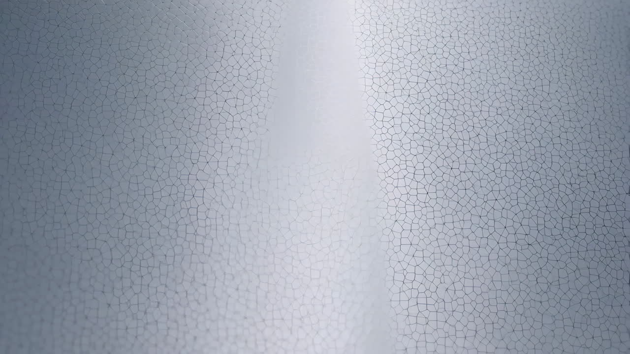 Abstract Light Grey Cracked Cellular Pattern Background