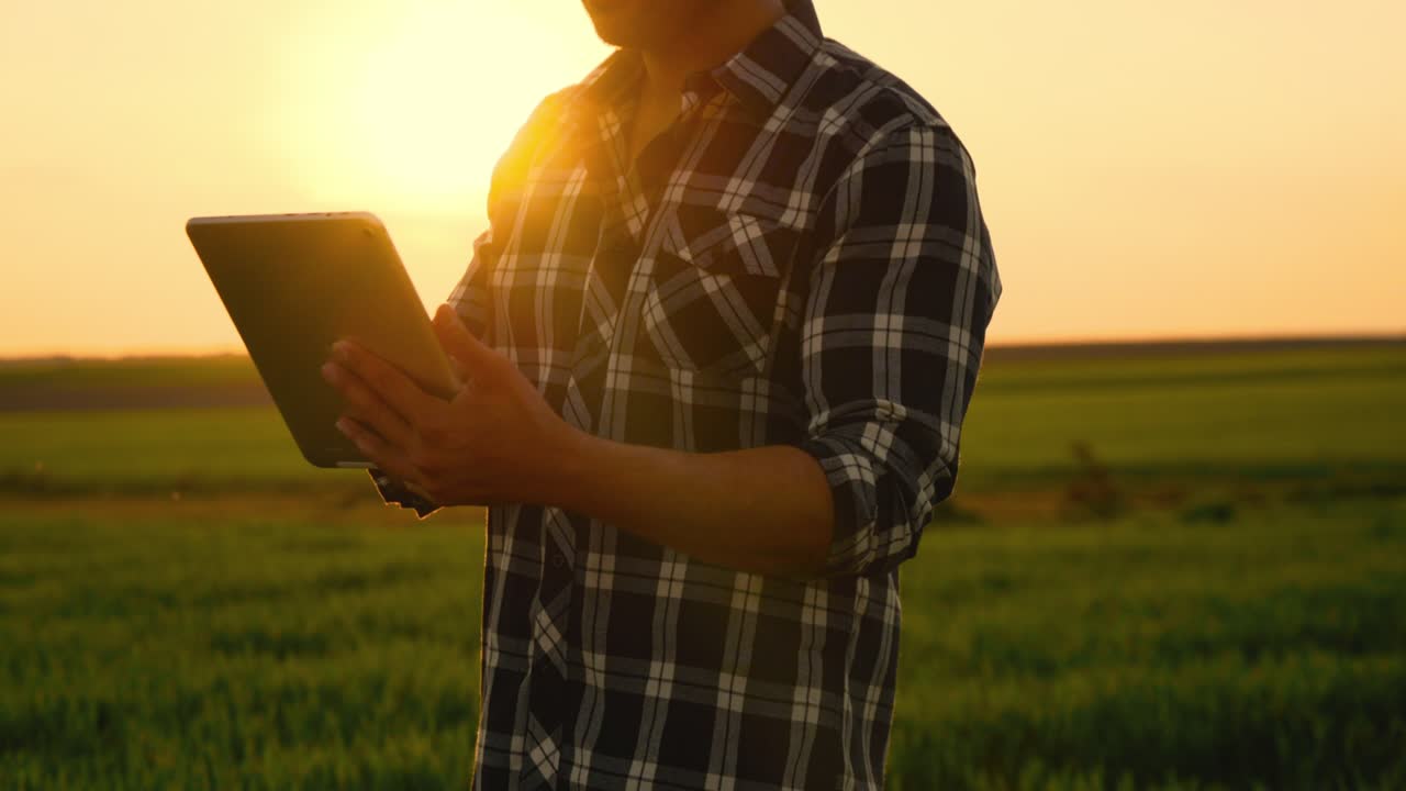 un joven agricultor está de pie en un campo de trigo verde con una tableta en las manos comprobando el progreso de la cosecha. hombre con camisa azul y gorra al atardecer. concepto de agricultura. imágenes de alta calidad en 4k