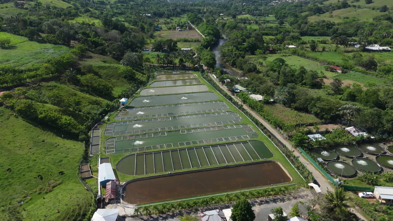 Aerial view of AQUACULTURE HATCHERY and aquacultural farm ponds in Tropical landscape of Dominican Republic. Wide shot. Sunny day in summer.